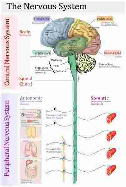 System Meaning and Definition