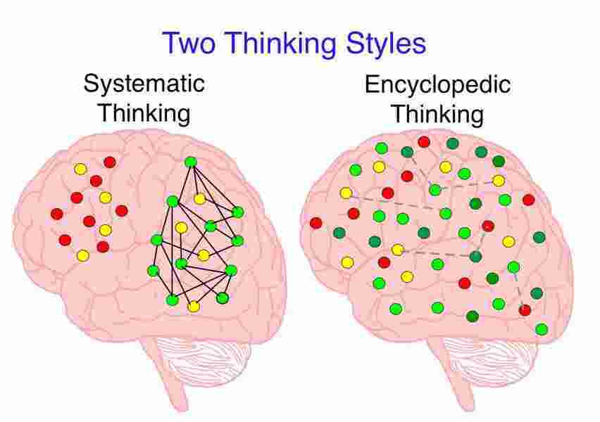 Systematic Meaning and Definition