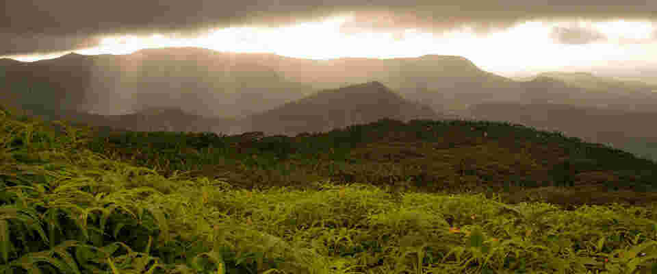 Terrestrial Meaning and Definition