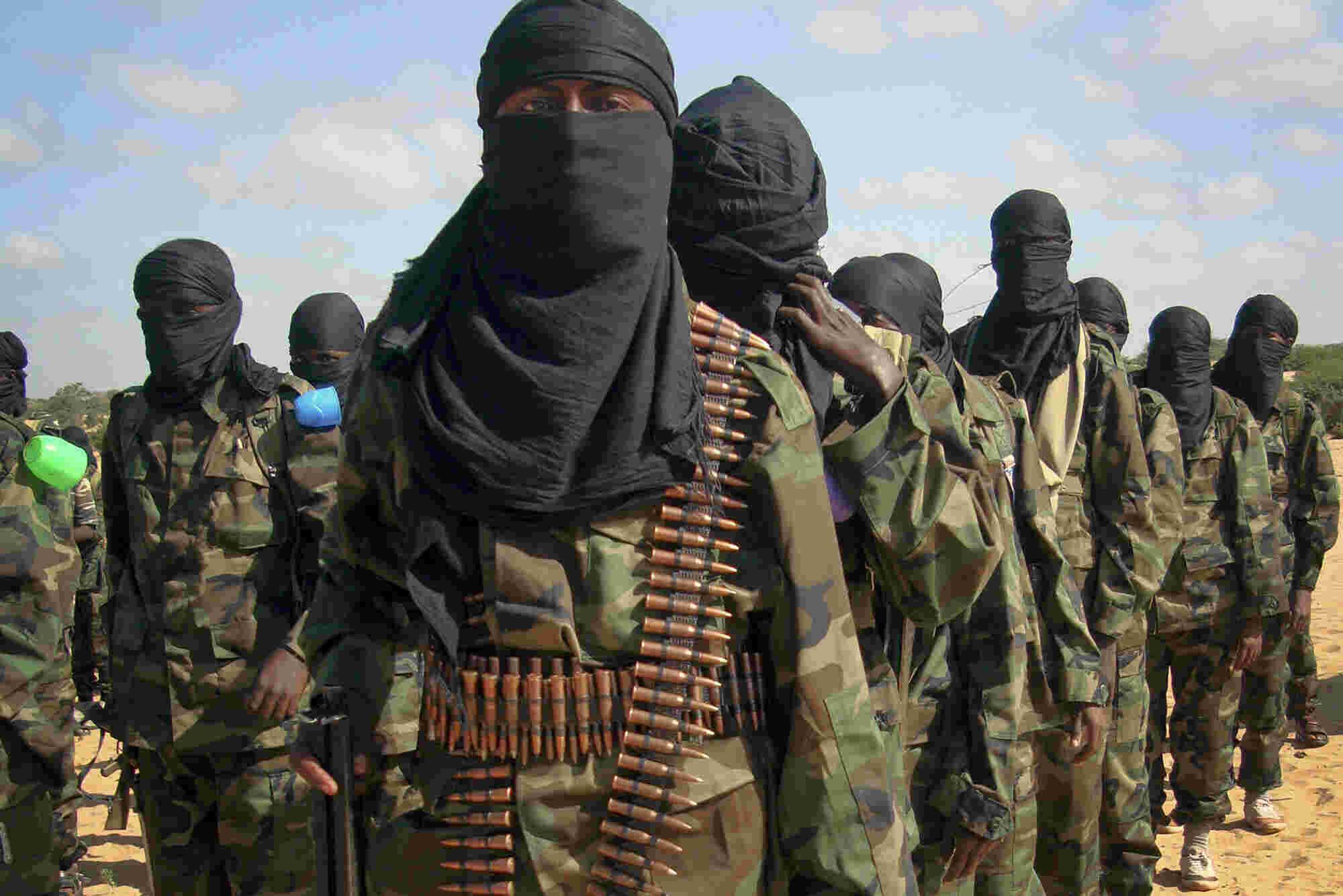 Terrorist Meaning and Definition