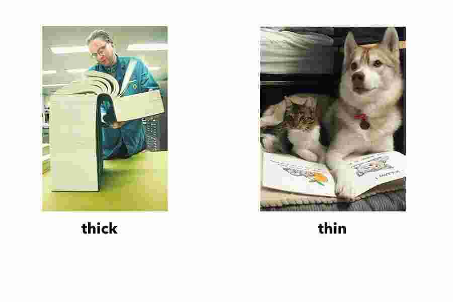 Thick Meaning and Definition