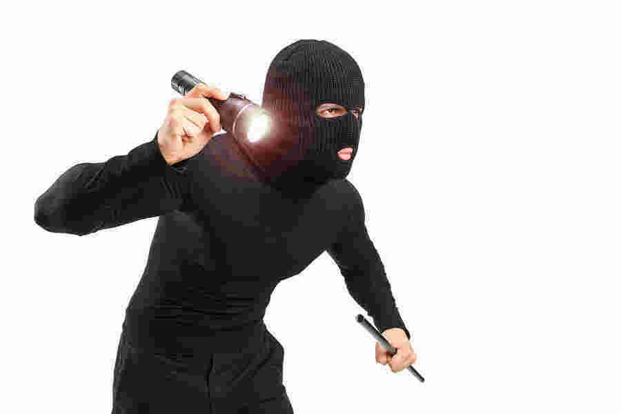 Thief Meaning and Definition