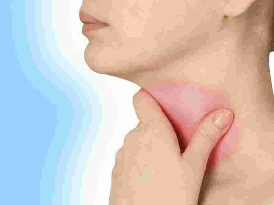 Throat Meaning and Definition