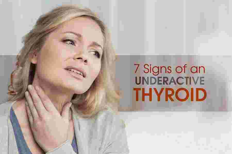 Thyroid Meaning and Definition