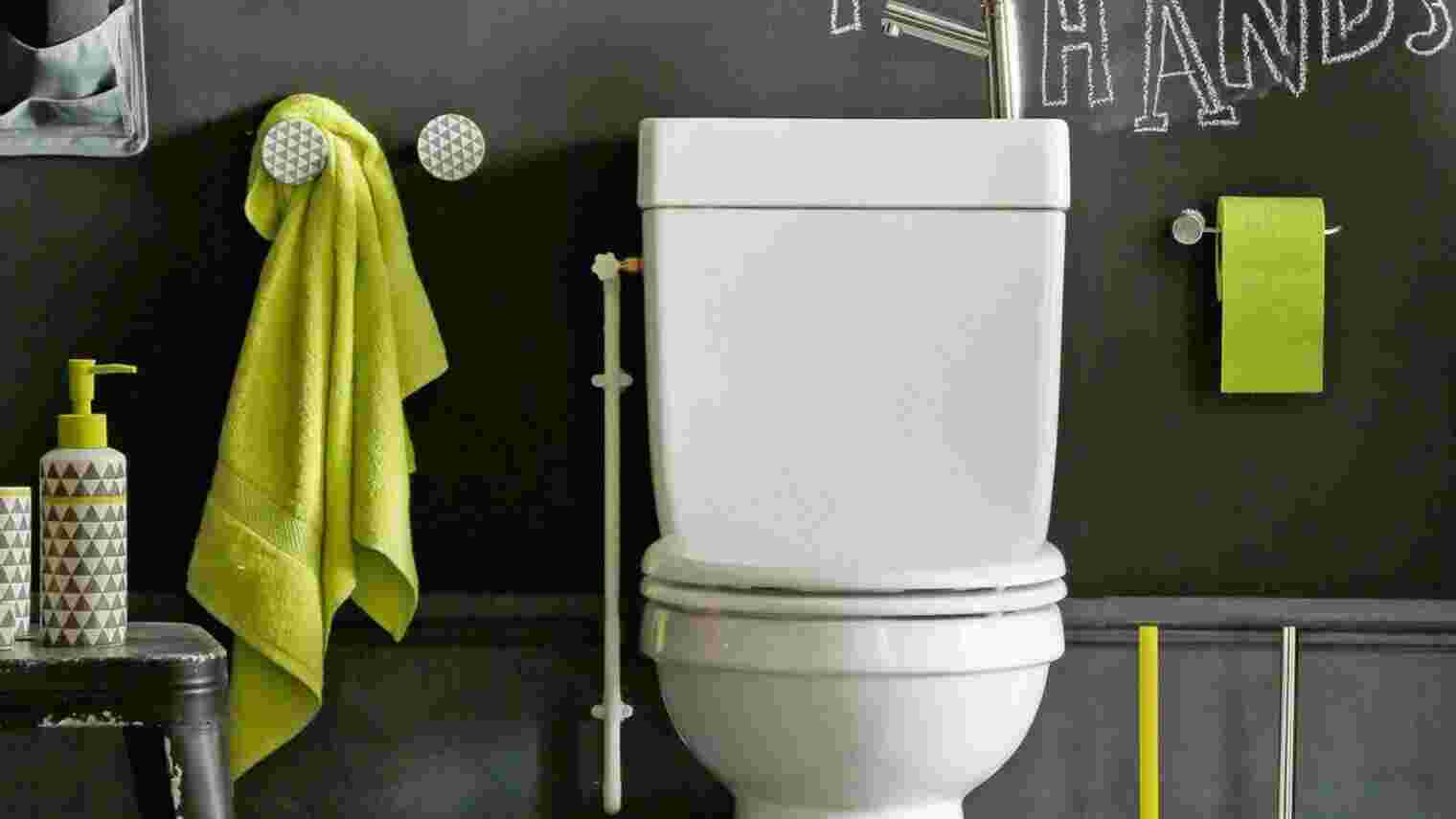 Toilette Meaning and Definition