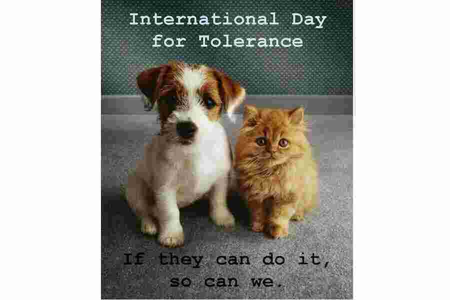 Tolerance Meaning and Definition