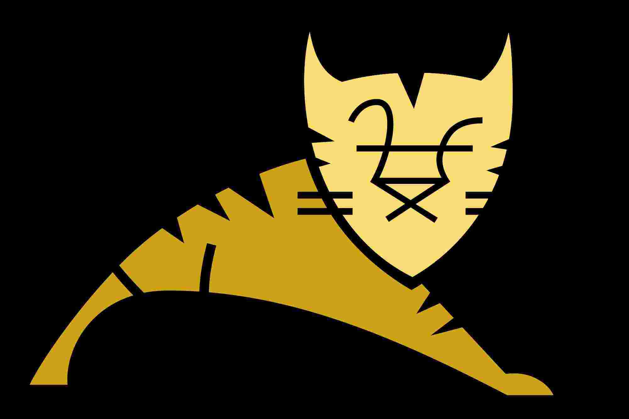 Tomcat Meaning and Definition