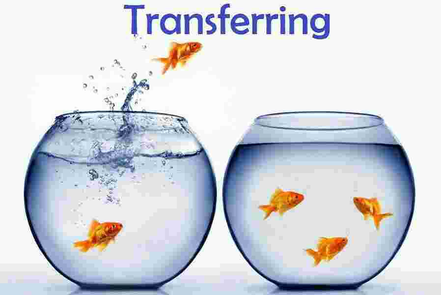 Transferring Meaning and Definition