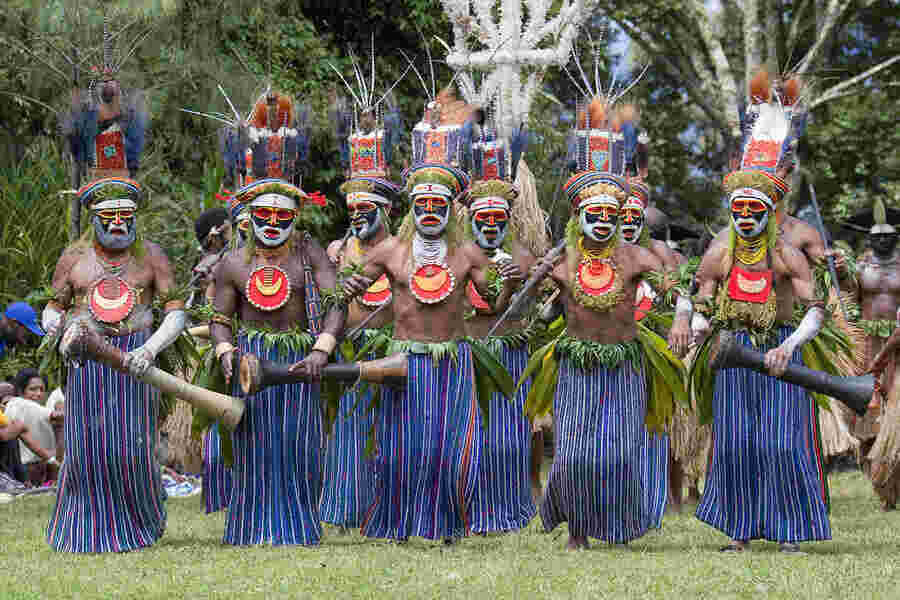 Tribe Meaning and Definition