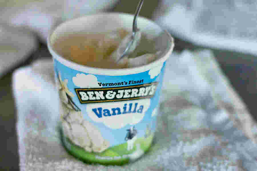 Vanilla Meaning and Definition