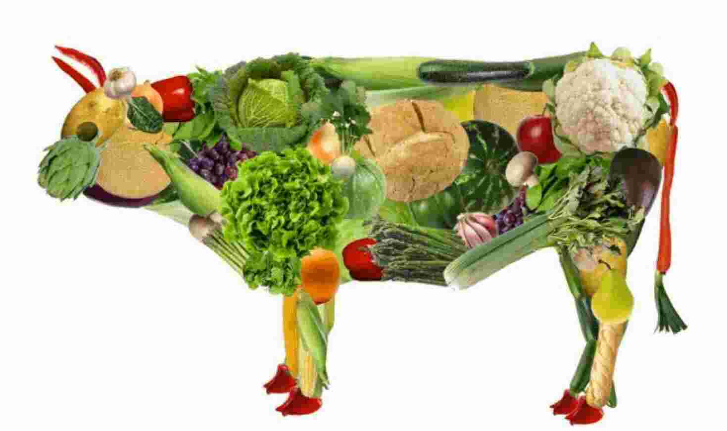 Vegetarian Meaning and Definition