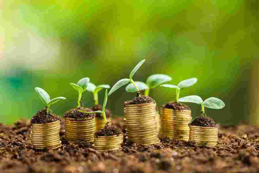 Venture Meaning and Definition