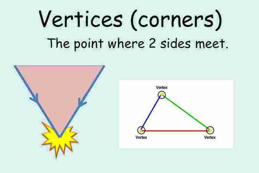 Vertices Meaning and Definition