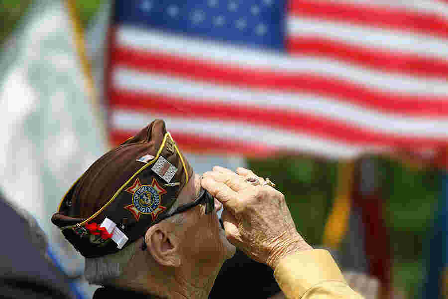 Veteran Meaning and Definition