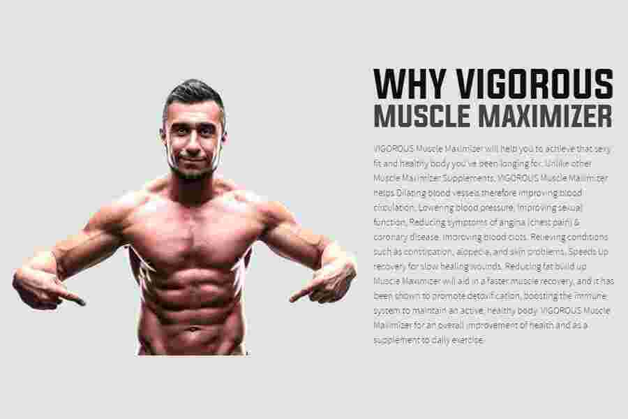 Vigorous Meaning and Definition