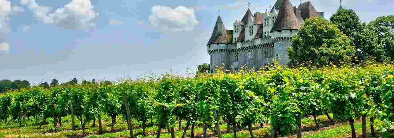 Vineyard Meaning and Definition