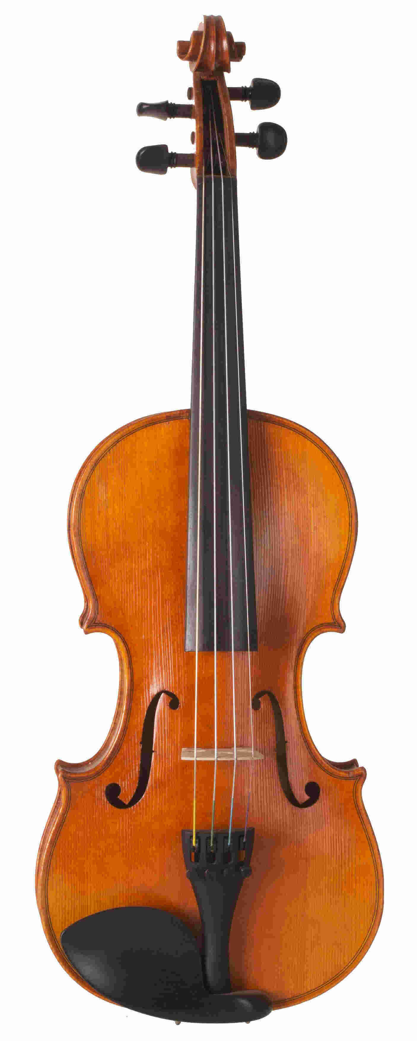 Viola Meaning and Definition