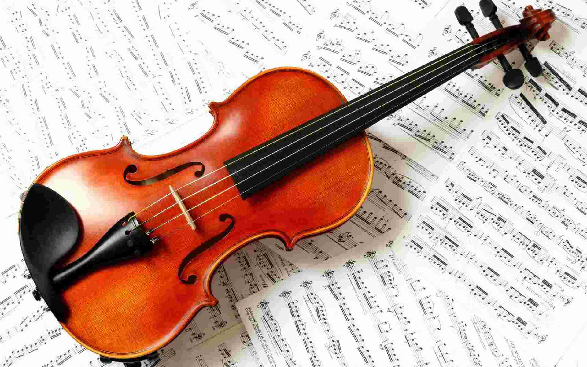 Violin Meaning and Definition