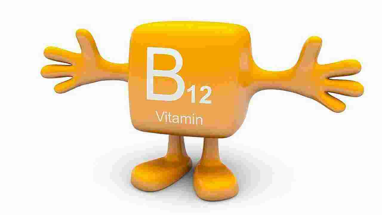 Vitamin Meaning and Definition