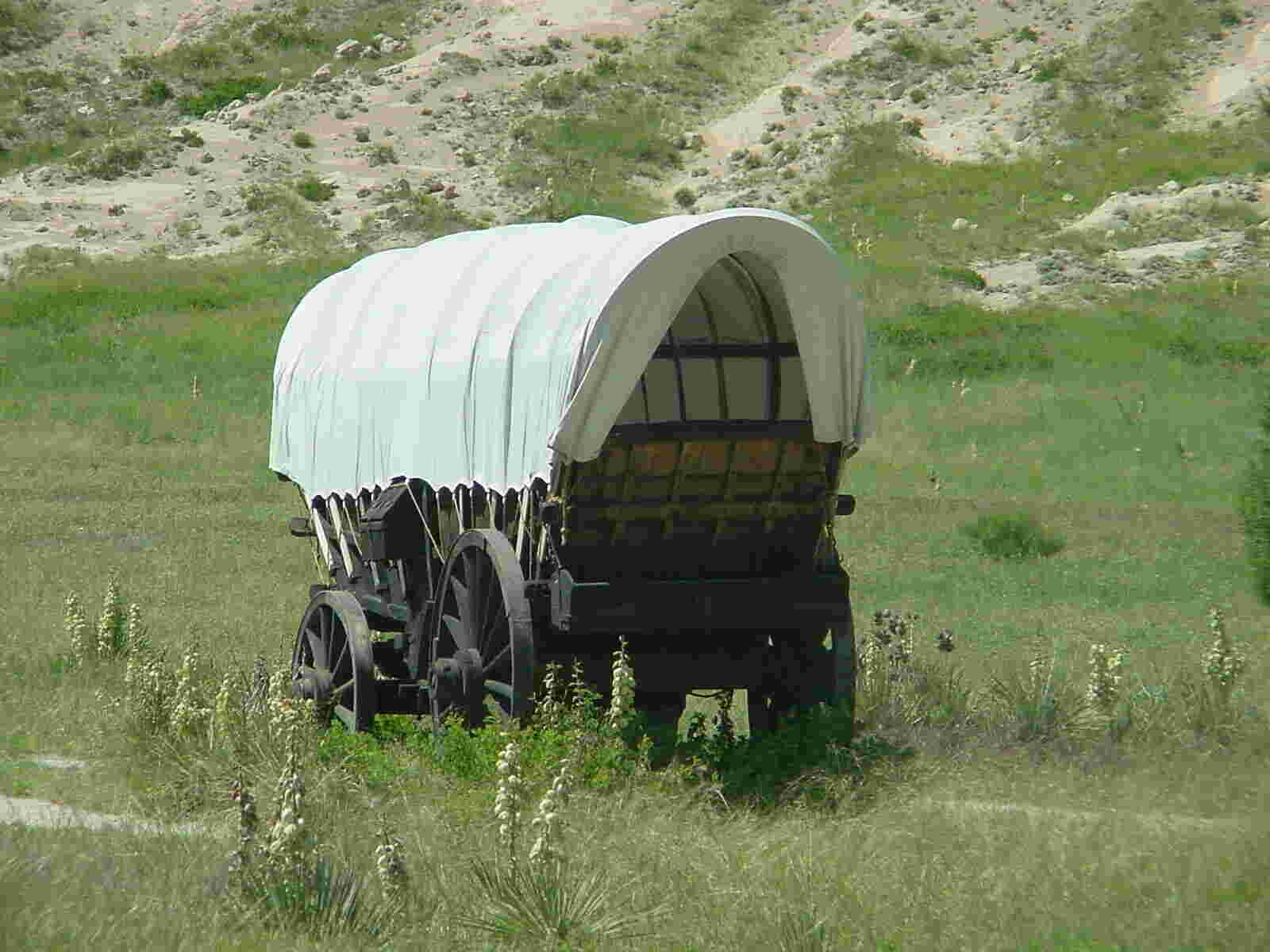 Wagon Meaning and Definition