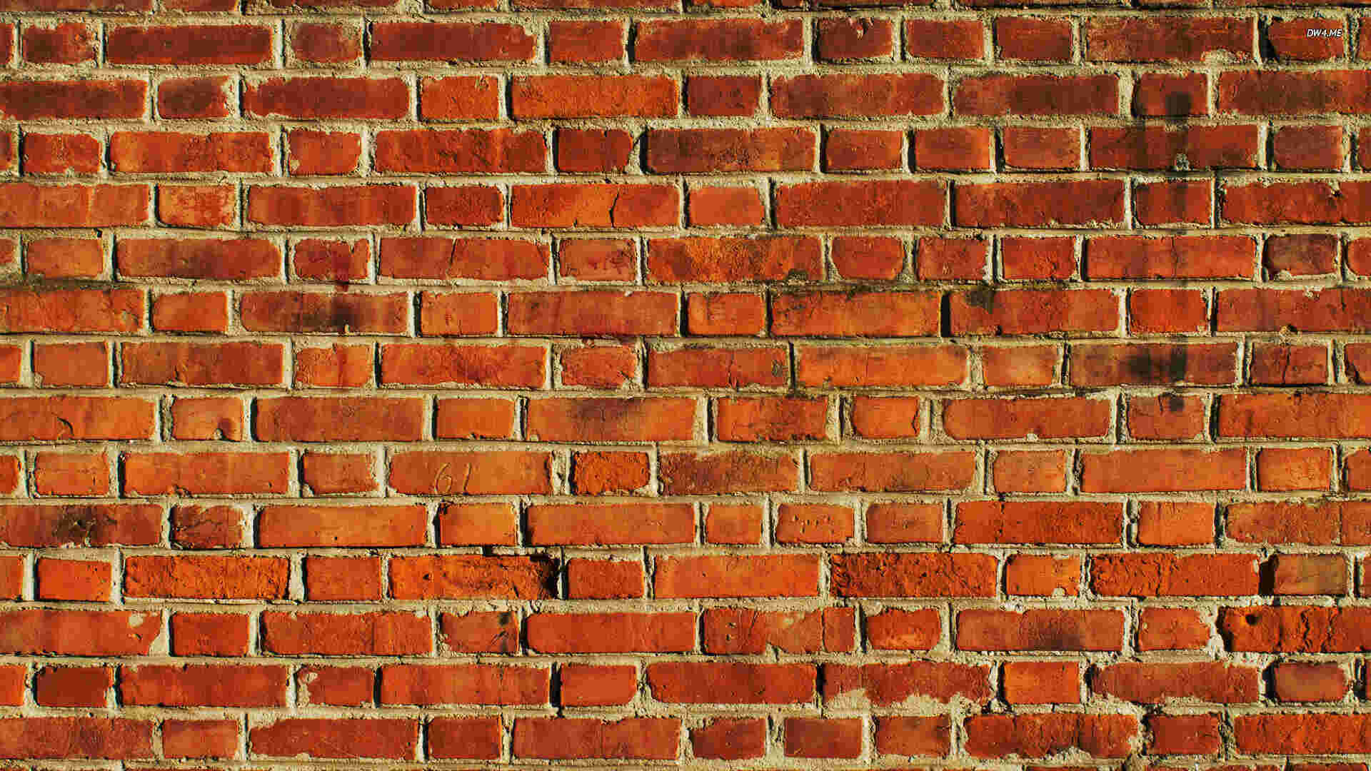 Wall Meaning and Definition