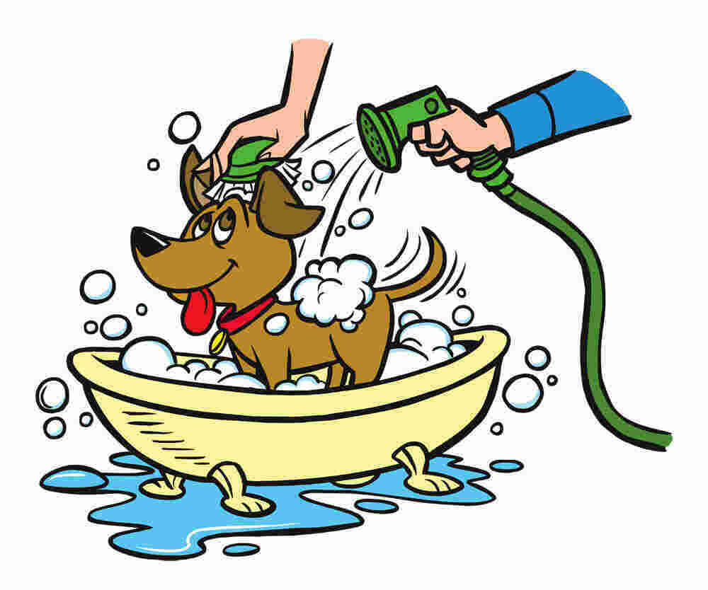 Wash Meaning and Definition