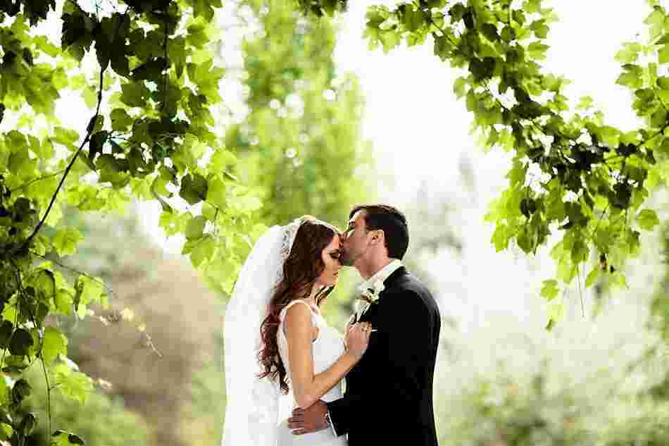Wed Meaning and Definition