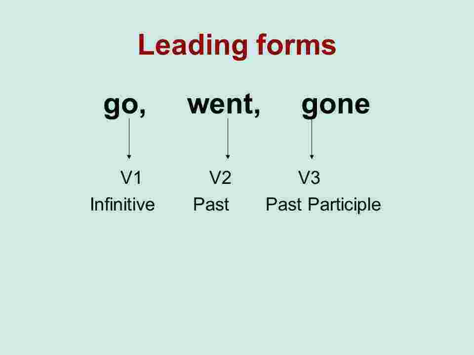 Went Meaning and Definition