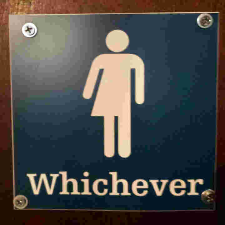 Whichever Meaning and Definition