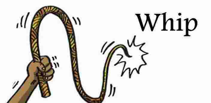 Whip Meaning and Definition Whip Meaning and Definition