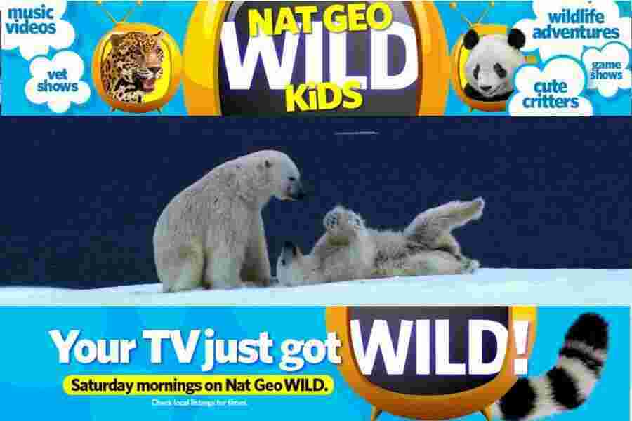 Wild Meaning and Definition