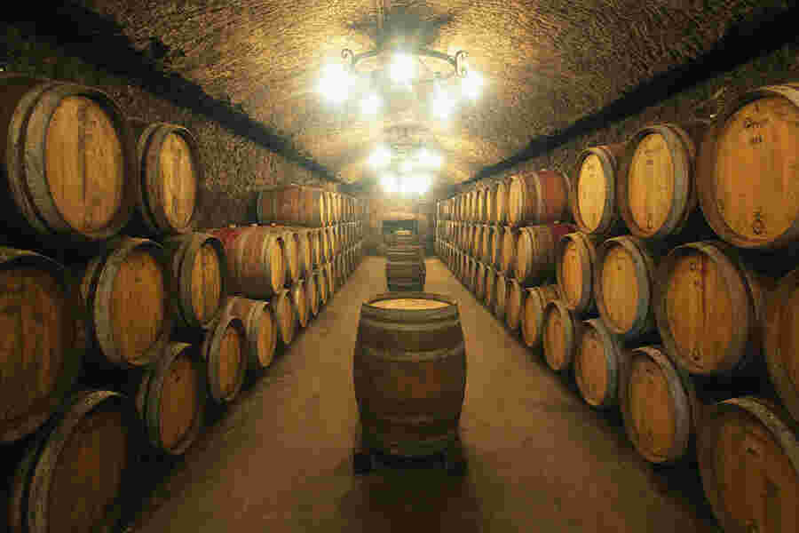 Winery Meaning and Definition