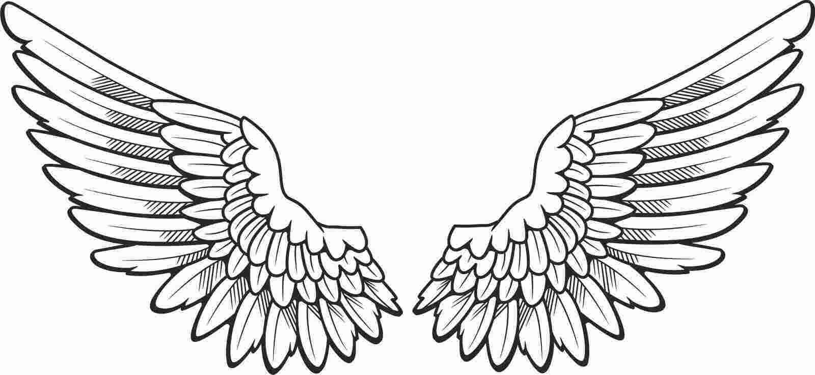 Wing Meaning and Definition