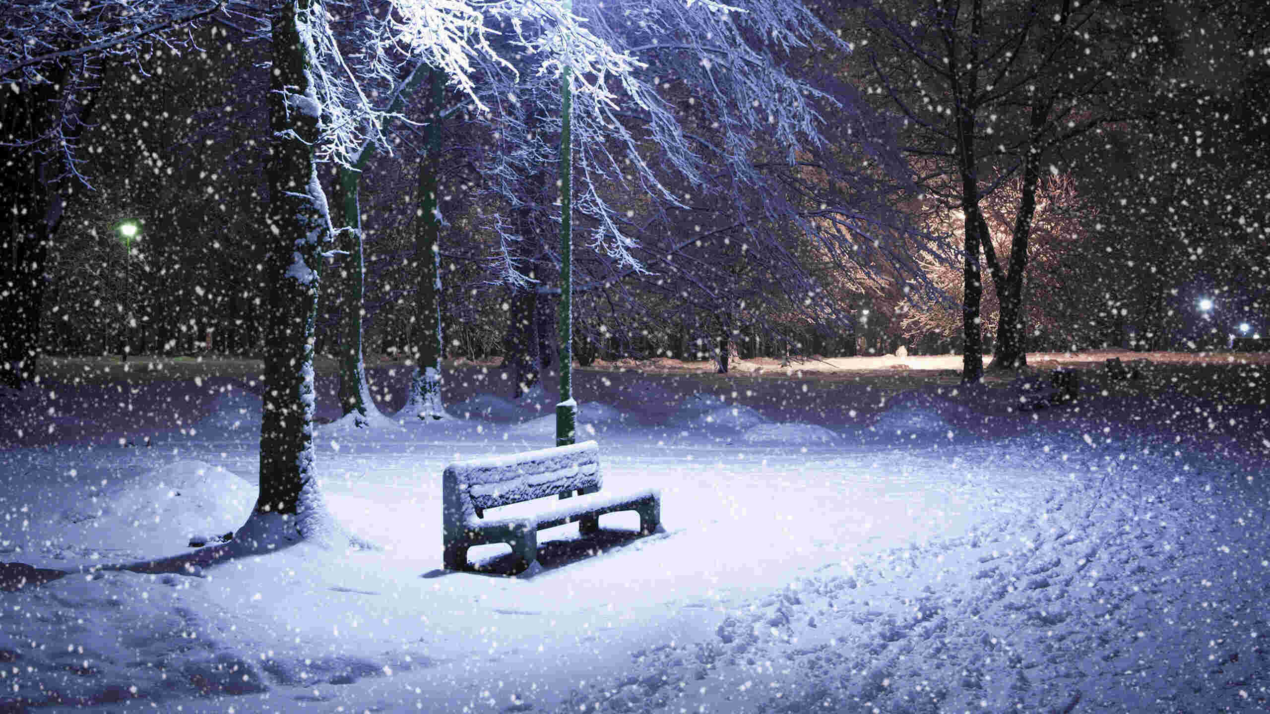 Winter Meaning and Definition