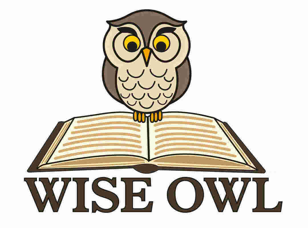 Wise Meaning and Definition