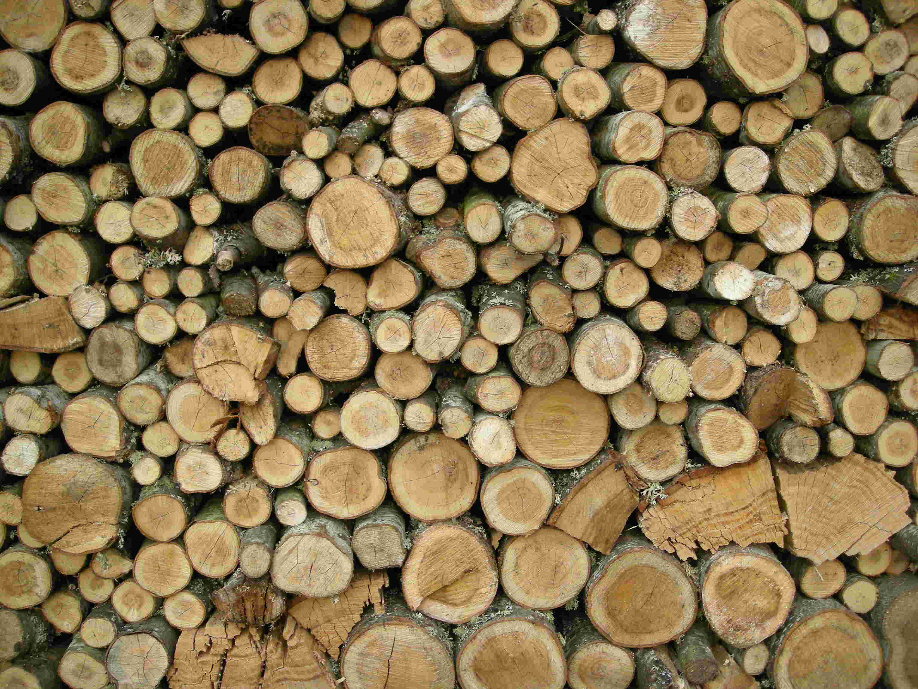 Wood Meaning and Definition