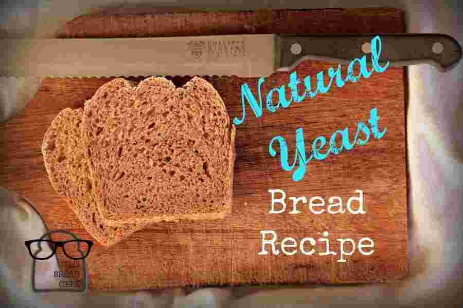 Yeast Meaning and Definition Yeast Meaning and Definition