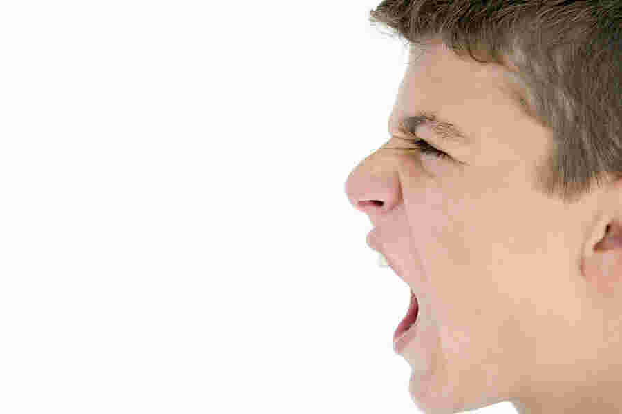 Yell Meaning and Definition Yell Meaning and Definition