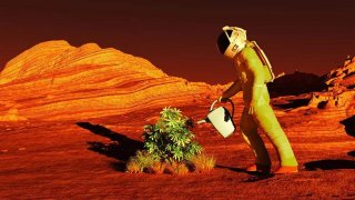 Scientists Announce Which Plant Should Be Grown First on Mars!