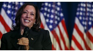 What to know about Kamala Harris' viral coconut tree meme: 