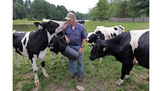 In Southern New England’s dairy heartland, bird flu is far down on the list of concerns