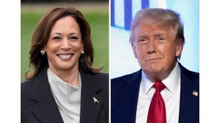 Massive shift in Trump-Harris swing state polling with Biden out