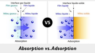 Absorption Meaning and Definition