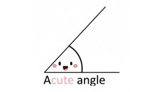 Acute Meaning and Definition