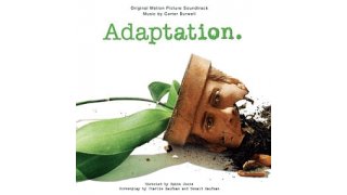 Adaptation Meaning and Definition
