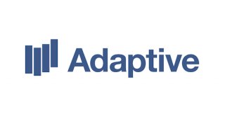Adaptive Meaning and Definition