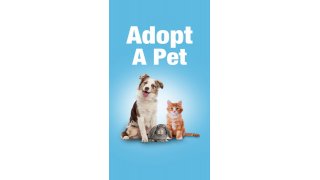 Adopt Meaning and Definition