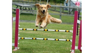 Agility Meaning and Definition