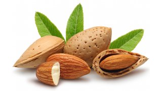 Almond Meaning and Definition