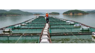 Aquaculture Meaning and Definition